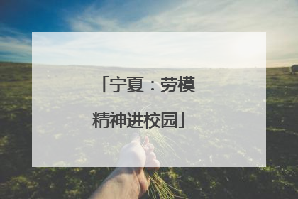 宁夏：劳模精神进校园