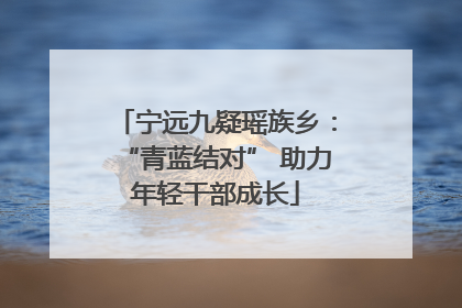宁远九疑瑶族乡：“青蓝结对” 助力年轻干部成长