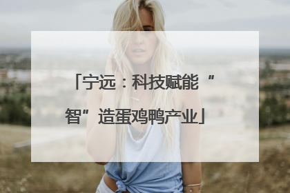 宁远：科技赋能“智”造蛋鸡鸭产业
