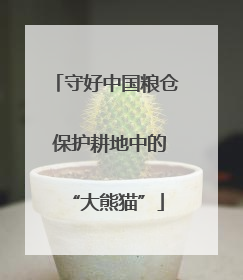 守好中国粮仓 保护耕地中的“大熊猫”