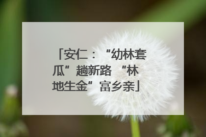 安仁：“幼林套瓜”趟新路 “林地生金”富乡亲
