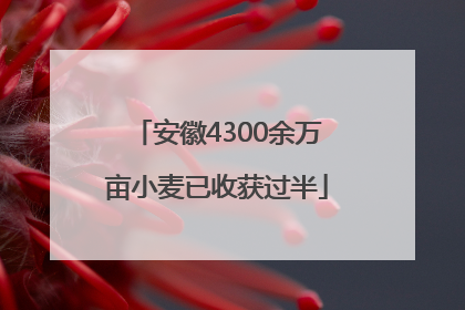 安徽4300余万亩小麦已收获过半