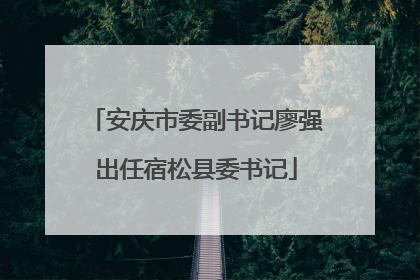 安庆市委副书记廖强出任宿松县委书记