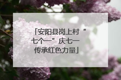 安阳县岗上村“七个一”庆七一 传承红色力量