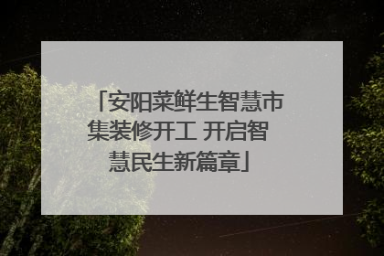 安阳菜鲜生智慧市集装修开工 开启智慧民生新篇章