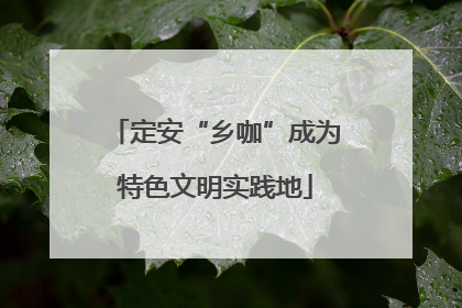 定安“乡咖”成为特色文明实践地