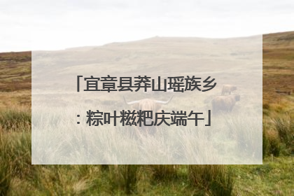 宜章县莽山瑶族乡：粽叶糍粑庆端午