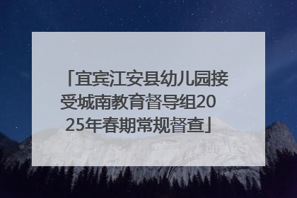 宜宾江安县幼儿园接受城南教育督导组2025年春期常规督查