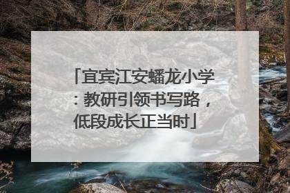 宜宾江安蟠龙小学：教研引领书写路，低段成长正当时