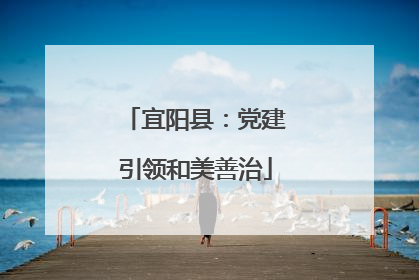 宜阳县：党建引领和美善治