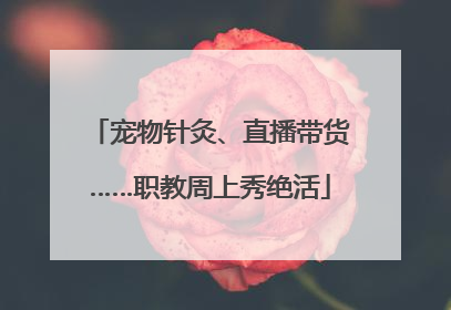 宠物针灸、直播带货……职教周上秀绝活