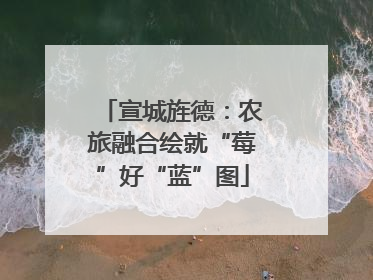 宣城旌德：农旅融合绘就“莓”好“蓝”图