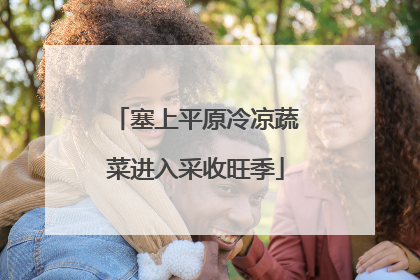 塞上平原冷凉蔬菜进入采收旺季