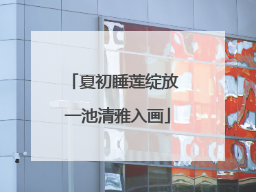夏初睡莲绽放 一池清雅入画