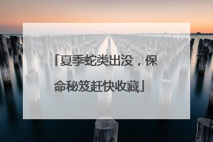 夏季蛇类出没，保命秘笈赶快收藏
