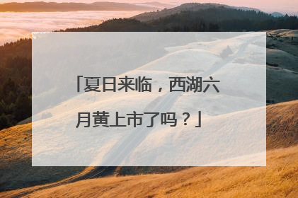 夏日来临，西湖六月黄上市了吗？