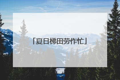 夏日梯田劳作忙
