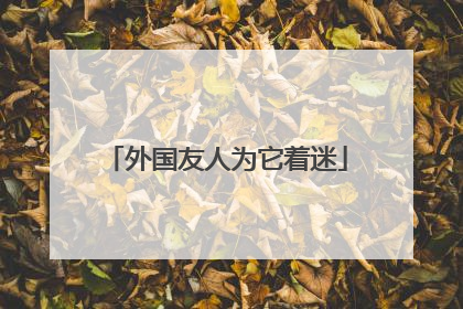 外国友人为它着迷