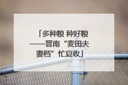 多种粮 种好粮——晋南“麦田夫妻档”忙夏收