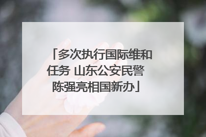 多次执行国际维和任务 山东公安民警陈强亮相国新办