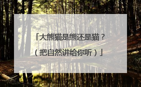 大熊猫是熊还是猫？（把自然讲给你听）