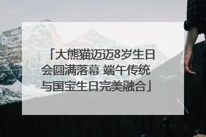 大熊猫迈迈8岁生日会圆满落幕 端午传统与国宝生日完美融合