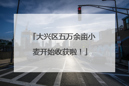 大兴区五万余亩小麦开始收获啦！
