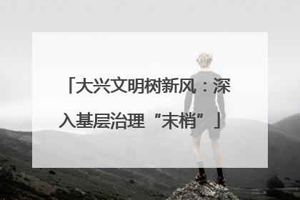大兴文明树新风：深入基层治理“末梢”