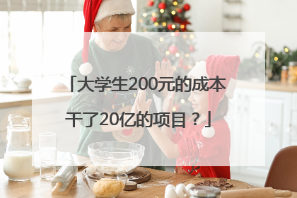 大学生200元的成本干了20亿的项目？