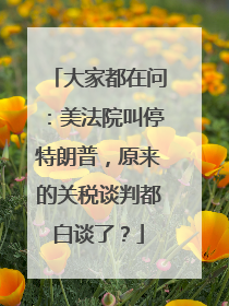 大家都在问：美法院叫停特朗普，原来的关税谈判都白谈了？