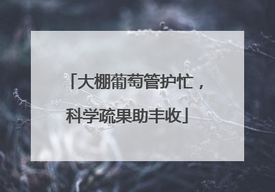 大棚葡萄管护忙，科学疏果助丰收