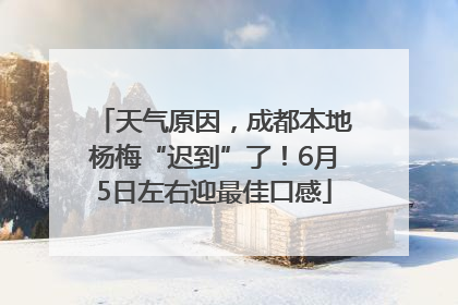 天气原因，成都本地杨梅“迟到”了！6月5日左右迎最佳口感