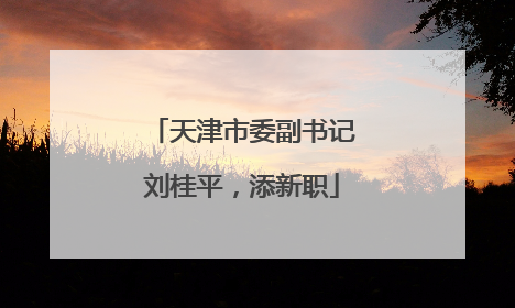 天津市委副书记刘桂平，添新职