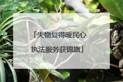 失物复得暖民心 执法服务获锦旗