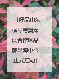 好品山东横琴粤澳深度合作区品牌出海中心正式启动