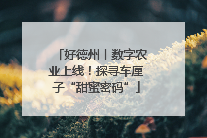 好德州丨数字农业上线！探寻车厘子“甜蜜密码”