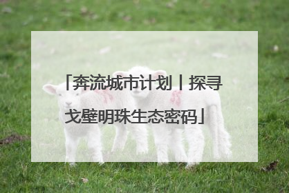 奔流城市计划丨探寻戈壁明珠生态密码