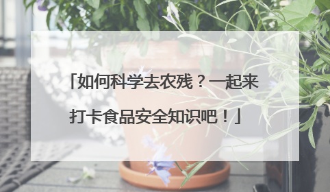 如何科学去农残？一起来打卡食品安全知识吧！