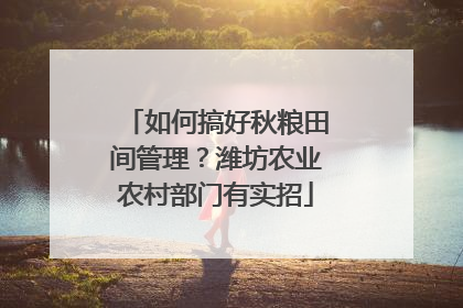 如何搞好秋粮田间管理？潍坊农业农村部门有实招