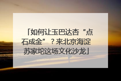 如何让玉巴达杏“点石成金”？来北京海淀苏家坨这场文化沙龙