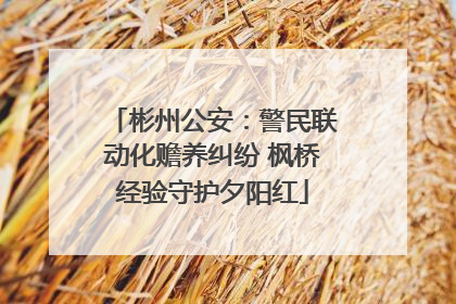 彬州公安：警民联动化赡养纠纷 枫桥经验守护夕阳红
