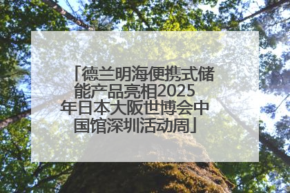 德兰明海便携式储能产品亮相2025年日本大阪世博会中国馆深圳活动周