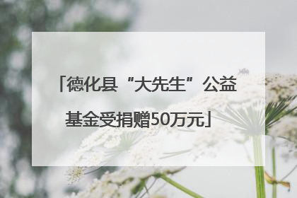 德化县“大先生”公益基金受捐赠50万元