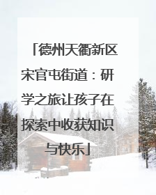 德州天衢新区宋官屯街道：研学之旅让孩子在探索中收获知识与快乐