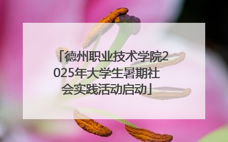 德州职业技术学院2025年大学生暑期社会实践活动启动