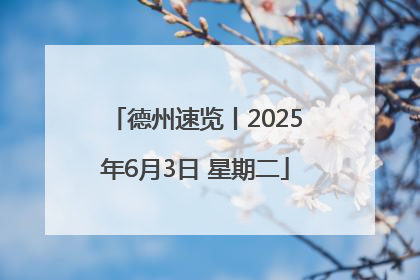 德州速览丨2025年6月3日 星期二