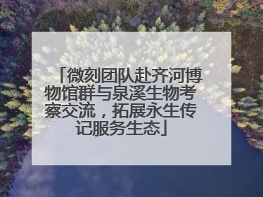 微刻团队赴齐河博物馆群与泉溪生物考察交流，拓展永生传记服务生态