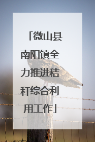 微山县南阳镇全力推进秸秆综合利用工作
