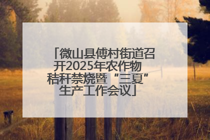 微山县傅村街道召开2025年农作物秸秆禁烧暨“三夏”生产工作会议