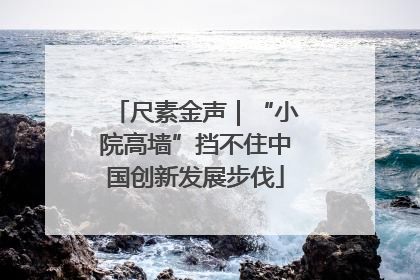 尺素金声｜“小院高墙”挡不住中国创新发展步伐
